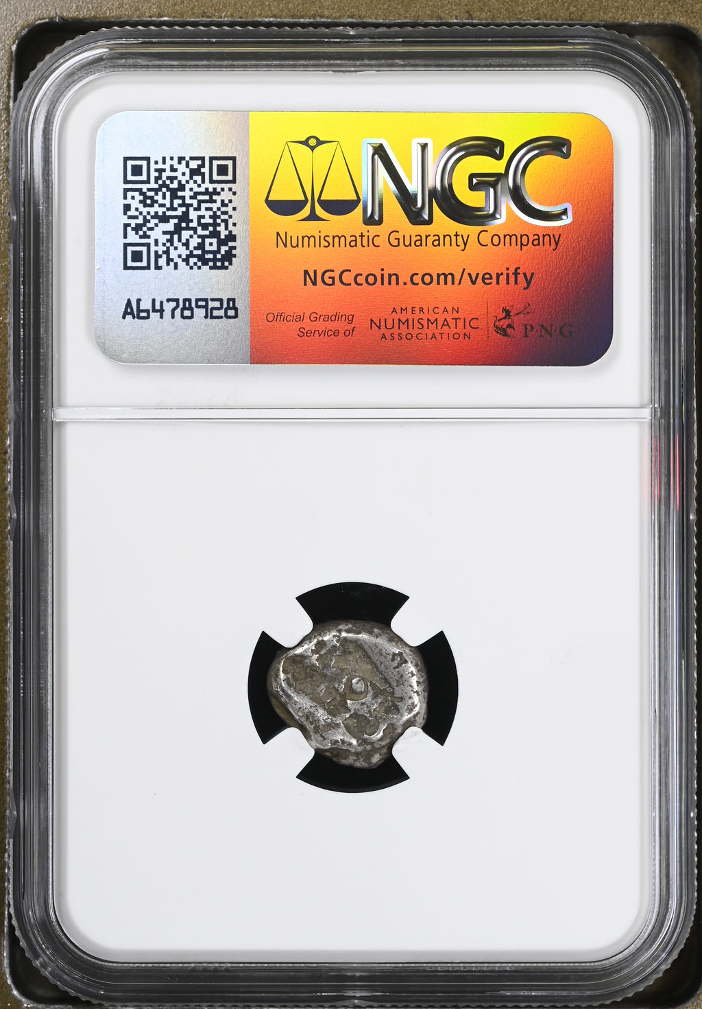 Achaemenid AR Siglos NGC F reverse